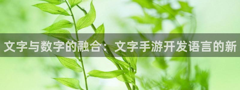 恩佐娱乐1：文字与数字的融合：文字手游开发语言的新