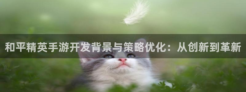 恩佐娱乐手机版最新功能介绍视频：和平精英手游开发背景与策略优