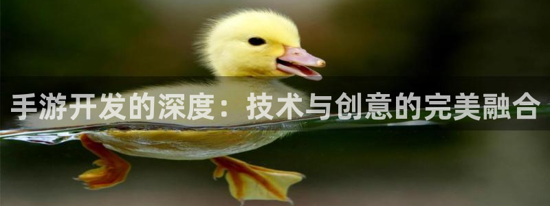 恩佐娱乐手机版最新功能介绍大全：手游开发的深度：技术与创意的