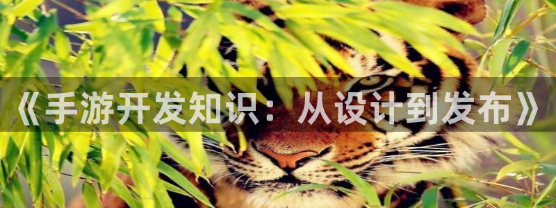 恩佐娱乐：《手游开发知识：从设计到发布》