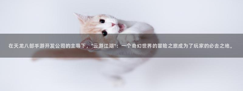 恩佐娱乐登陆：在天龙八部手游开发公司的主导下，\