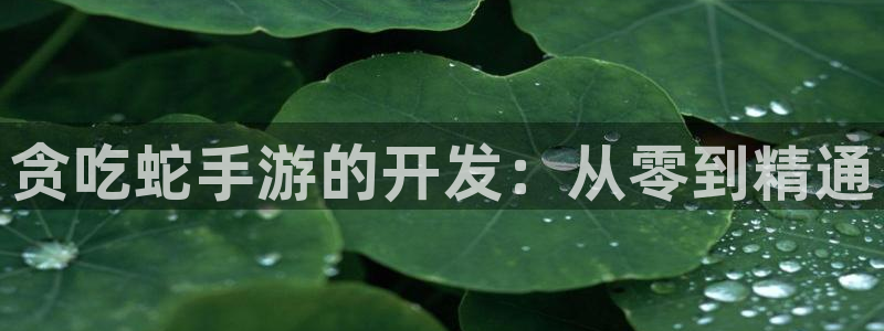 恩佐娱乐平台正规吗安全吗：贪吃蛇手游的开发：从零到精通
