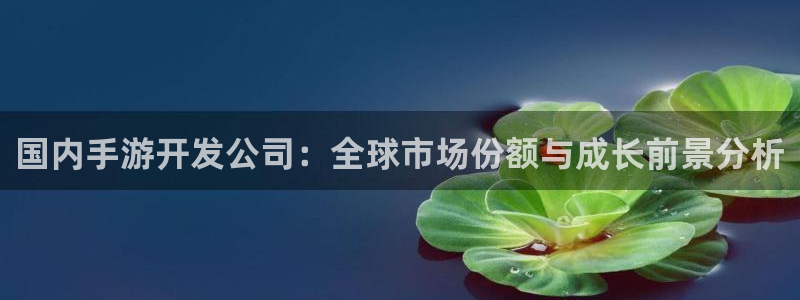 恩佐娱乐官方注册：国内手游开发公司：全球市场份额与成长前景分