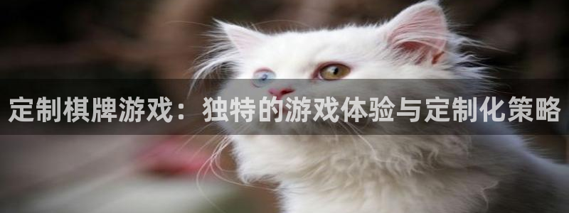 恩佐娱乐平台正规吗可靠吗：定制棋牌游戏：独特的游戏体验与定制