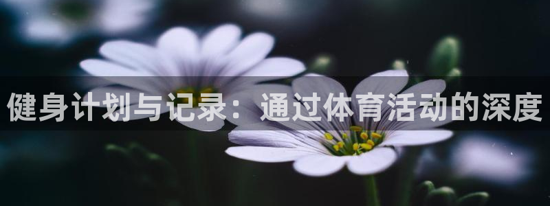 球王会体育