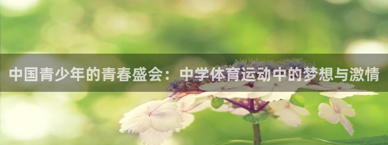球王会体育：中国青少年的青春盛会：中学体育运动中的梦想与激情