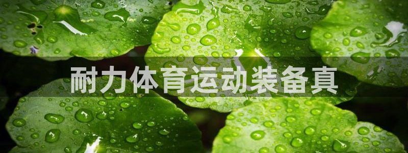 球王会体育：耐力体育运动装备真
