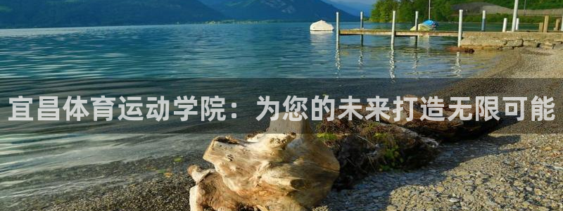 球王会体育：宜昌体育运动学院：为您的未来打造无限可能