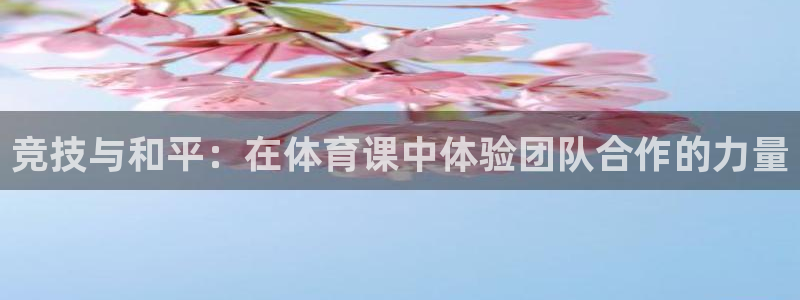 球王会体育：竞技与和平：在体育课中体验团队合作的力量