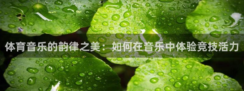 球王会体育