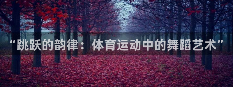 球王会体育