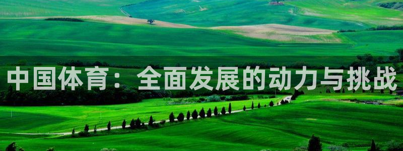 球王会体育