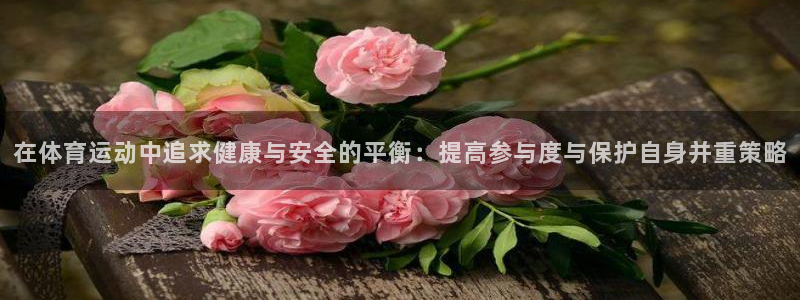 球王会体育