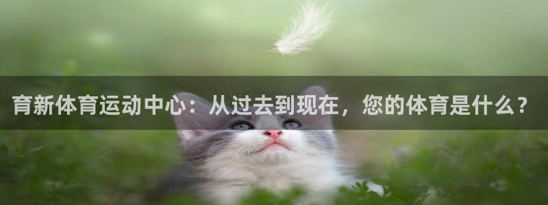 球王会体育：育新体育运动中心：从过去到现在，您的体育是什么？