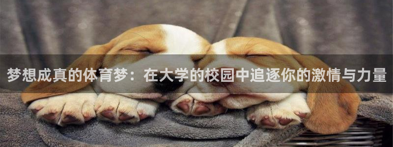 球王会体育：梦想成真的体育梦：在大学的校园中追逐你的激情与力量