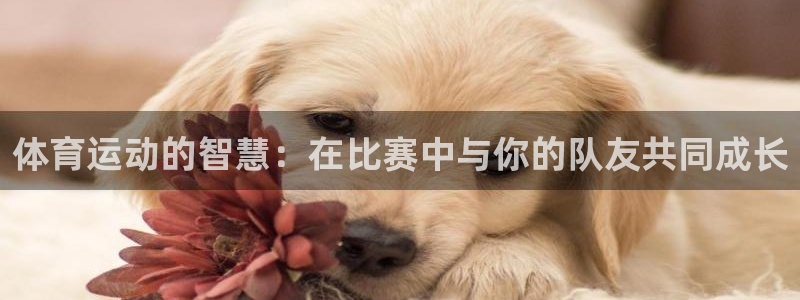 球王会体育：体育运动的智慧：在比赛中与你的队友共同成长