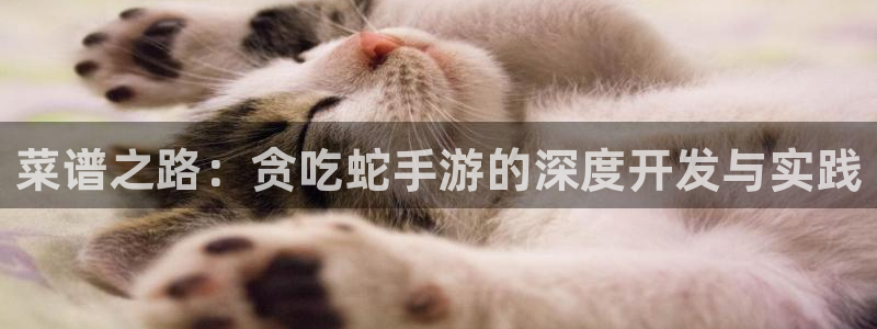 恩佐娱乐1：菜谱之路：贪吃蛇手游的深度开发与实践